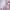 Kenzo Luxury Futurist Hat Wanita pink photo 4