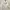 Sportswear Kids white photo 1