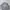 Japanese brand Casual Sweatshirt Pria gray photo 3