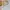 Gucci Luxury Avant Garde Belt Wanita gold black photo 2