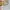 Gucci Luxury Avant Garde Belt Wanita Gold Black