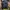 Sophie Martin Casual Backpack Wanita navy photo 4