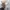 Topten Vintage Streetwear Sweatshirt Pria white photo 2