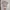 Carhartt Minimalist Futurist T-shirt Pria tan photo 1