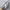 Japanese brand Streetwear Sweatshirt Pria gray photo 3