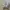 Baby Doll Casual Stroller Kids gray photo 3