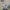 Baby Doll Casual Stroller Kids gray photo 5