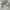 Vintage Emo Sweater Pria white photo 3