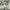 Vintage Emo Sweater Pria white photo 4