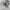 Vintage Emo Sweater Pria white photo 5