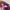 Vintage Y2K Hat Pria pink photo 3
