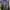 Streetwear Gorpcore Bomber Jacket Pria Black Blue