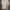 Polo Ralph Lauren Casual T-shirt Pria cream photo 3