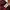 Streetwear Fleece Pria burgundy photo 4