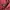 Streetwear Fleece Pria burgundy photo 2