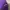 WHO.A.U Streetwear Sweatshirt Pria purple photo 4