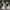 Adidas Streetwear Casual Sneakers Pria white black photo 5