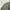 ZARA Minimalist Kemeja Kids gray cream photo 1