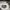 Dickies Streetwear Casual Casual shirt Pria multicolor photo 5