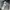 Dickies Streetwear Casual Casual shirt Pria multicolor photo 4
