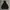 Adidas Streetwear Fleece Pria black photo 1