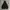 Adidas Streetwear Fleece Pria black photo 7
