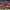 Nike Vintage Streetwear Jersey Wanita red photo 2