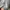 Vintage Track jacket Pria gray photo 4