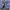 Adidas Casual Track jacket Pria navy photo 4