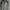 Dickies Vintage Sportswear Track jacket Pria black photo 4