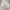 Japanese brand Vintage Casual Casual pants Pria tan cream photo 7