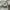 Kapital Kountry Avant Garde Dungaree Wanita white photo 6