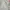 Japanese brand Streetwear Casual Parka Pria brown photo 2