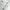 Uniqlo Casual High waisted jeans Wanita white photo 5