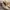 Rotelli Casual Heels Wanita tan cream photo 1