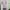 Coquette Baju muslim Wanita pink photo 3