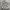 Nike Vintage Sportswear Hoody Pria gray photo 2