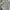Nike Vintage Sportswear Hoody Pria gray photo 8