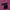 Streetwear Sportswear Jersey Wanita pink black photo 1