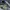 New Balance Sportswear Indie Sneakers Pria khaki gray photo 2