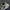 New Balance Sportswear Indie Sneakers Pria khaki gray photo 5