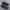 Nike Sportswear Indie Sneakers Pria black photo 3