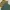 Minimalist Crop Top Wanita Green