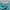 Vivienne Westwood Y2K Minimalist Wanita green photo 5