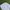 Adidas Vintage Casual pants Pria white photo 1