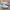 Puma Casual Sneakers Pria White