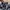 Airwalk Streetwear Casual Casual shirt Pria multicolor photo 7