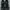 Adidas Streetwear Sportswear Sneakers Wanita white black photo 3