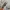 Maison Kitsuné Streetwear Casual Sweater Pria gray photo 4