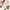 Lolita Minimalist Wanita pink photo 1